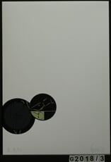 Grafické album