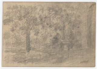 Studie krajiny - les