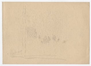 Studie krajiny - les