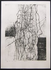 Krajina I.