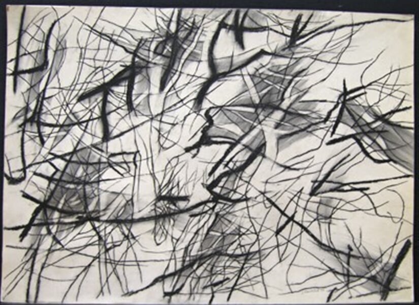 Písmo ve stromech I