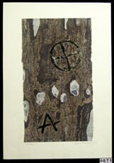 Kohelet V.