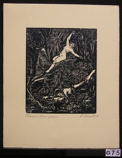 Toman a lesní panna