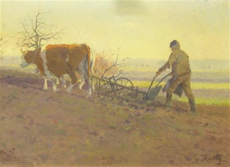 Orání