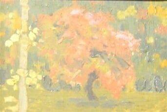 Studie - Kvetoucí strom