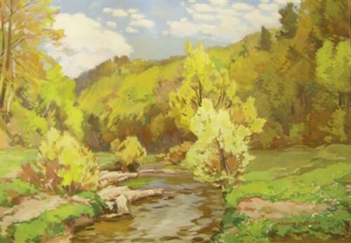 Jaro v lesním údolí