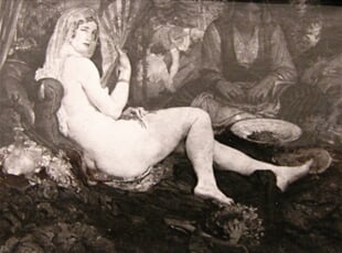 Slunečnice