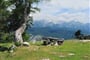 Foto - Slovinsko u jezera Bled - SLOVINSKO - turistika v Julských Alpách ***