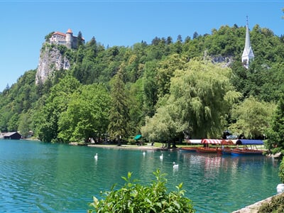 Městečko Bled na břehu Bledského jezera, Slovinsko