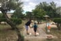 Rosapineta Camping Village, Rosolina Mare (14)