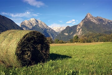 Horské louky nedaleko města Bovec