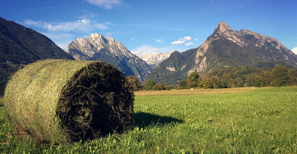 Bovec