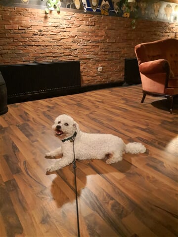 IMG 20180518 193505