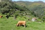 Portugalsko, Soajo