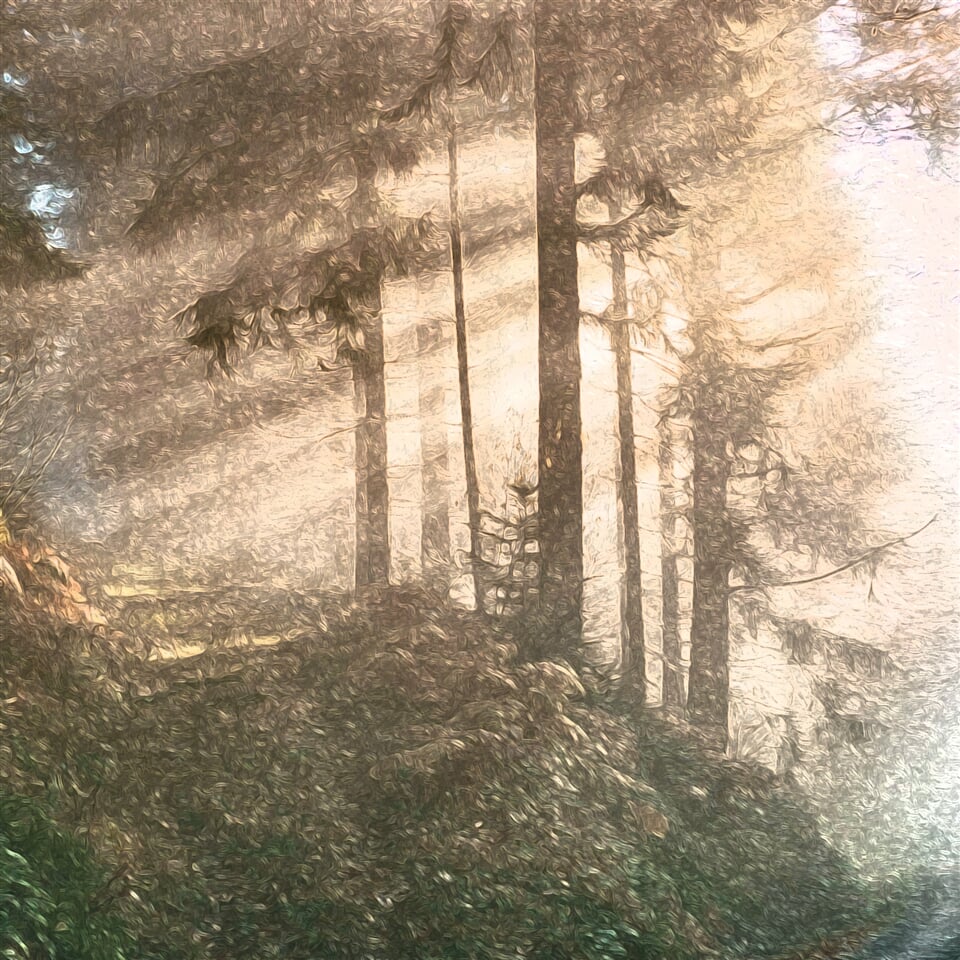 Demo-paleta Mlžný les