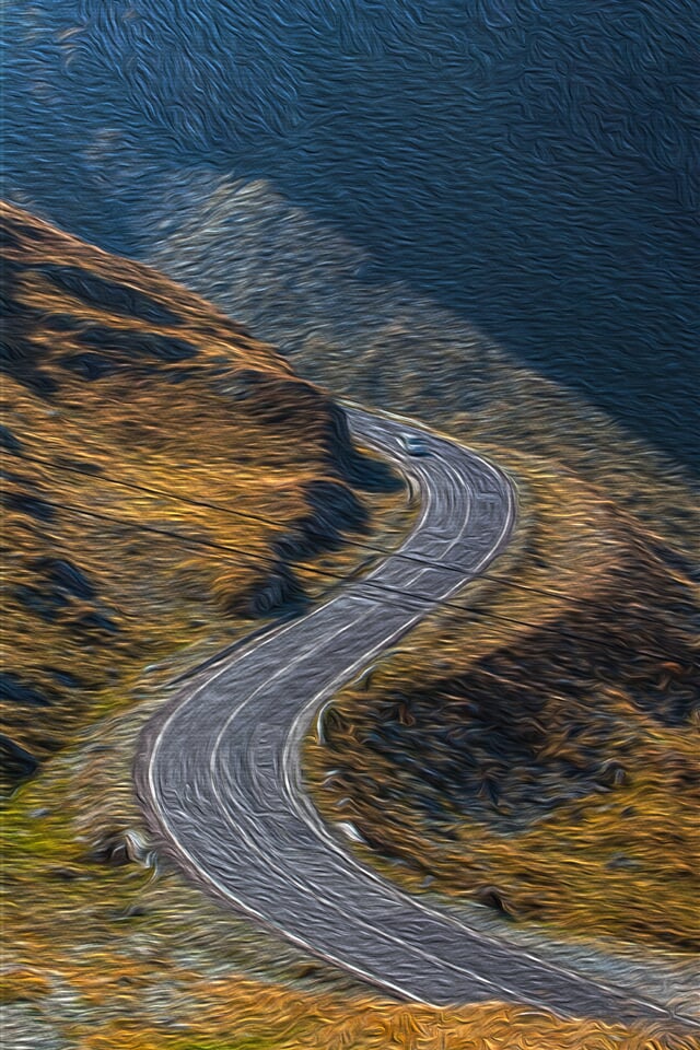 Demo-paleta Cesta z lesa