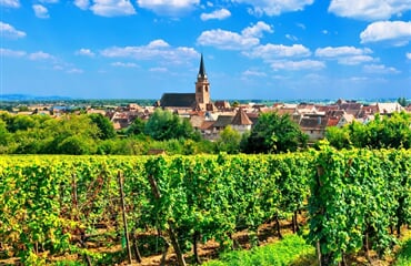 Alsasko - Za vinaři do Francie