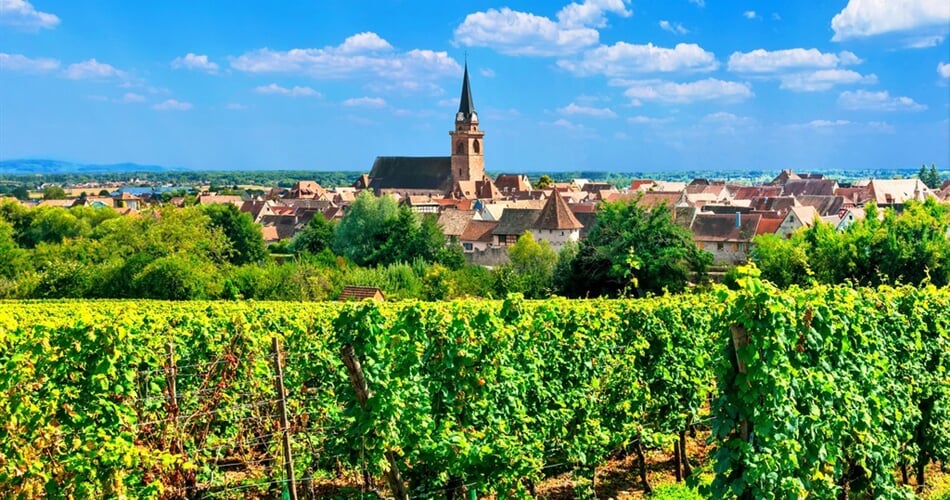 Vinice u městečka Riquewihr - poznávací zájezd do Alsaska