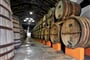 Výroba vína ve Francii - poznávací zájezd