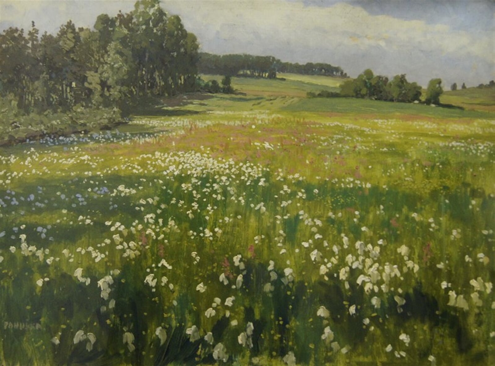 Jaroslav Panuška: Louka, 50 × 66 cm