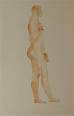 Venuše