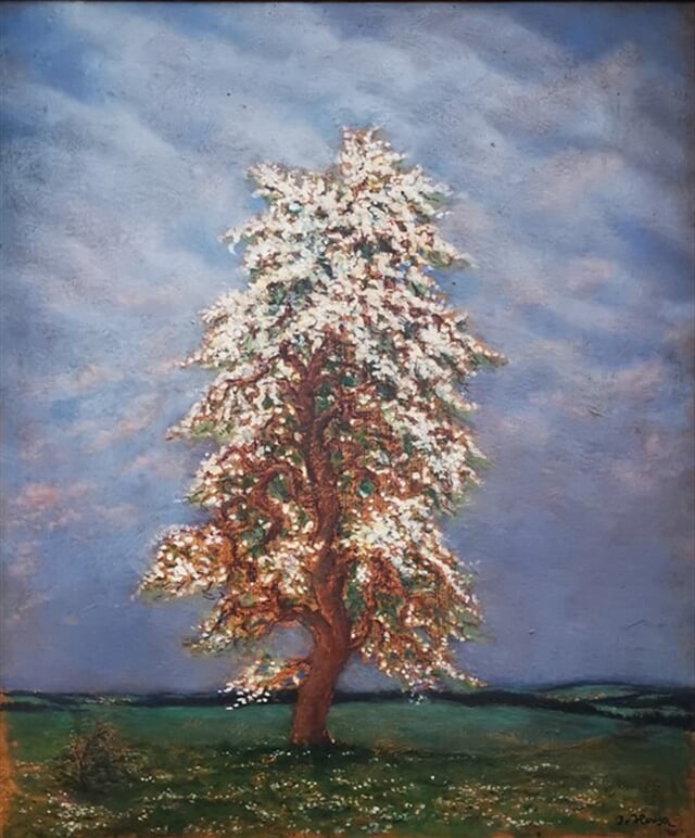 Kvetoucí hruška v širém poli