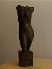 Torso