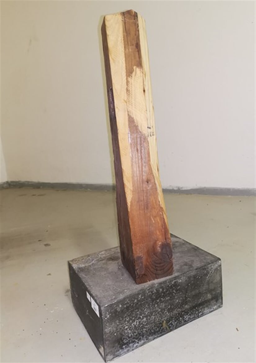DP 1 (nemá číslo MG)