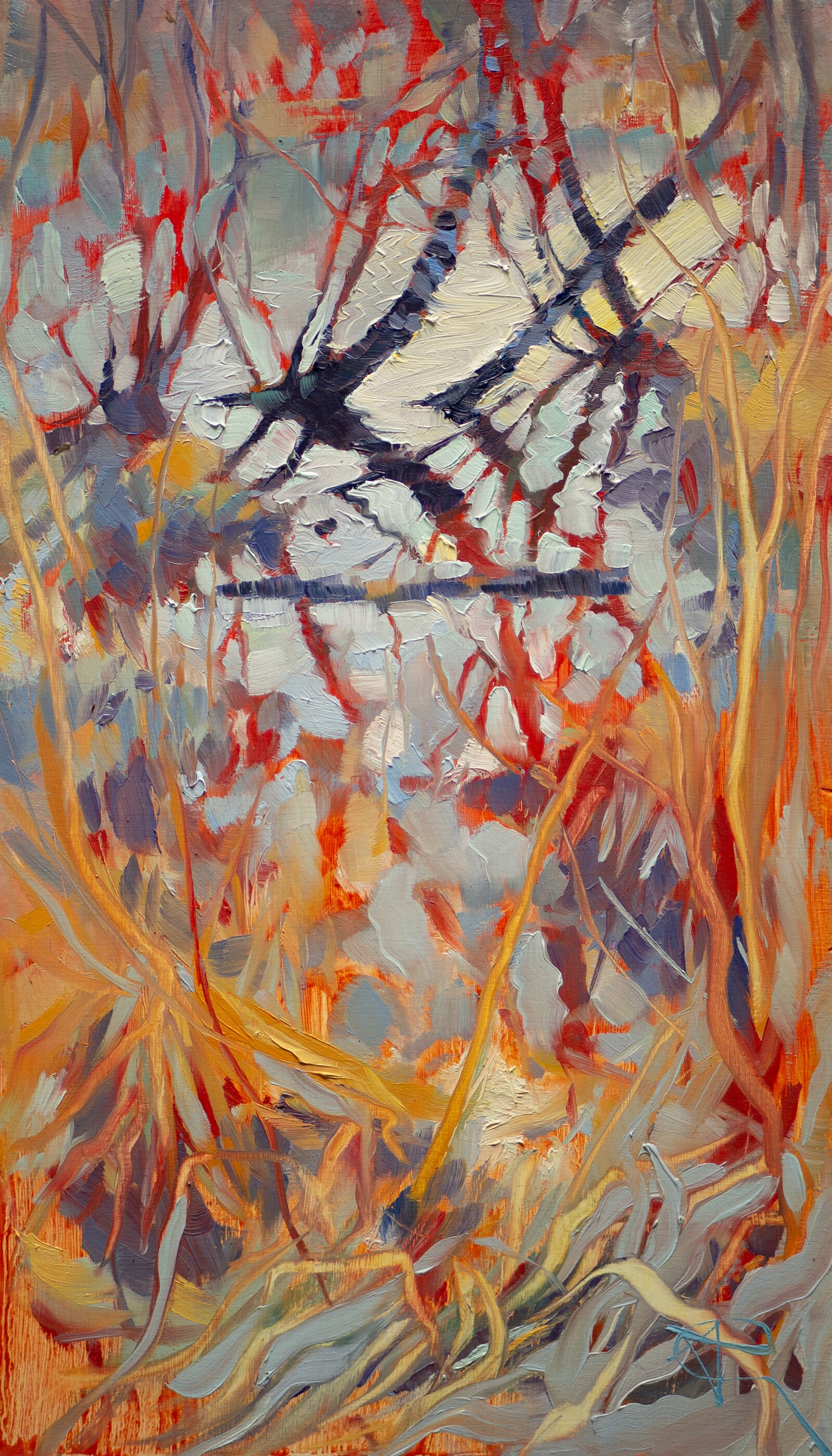 Adéla Topolová: Zobáčky, 35 × 20 cm