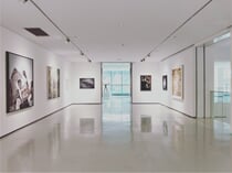Umělecká galerie