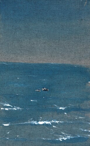 O 800 crop
