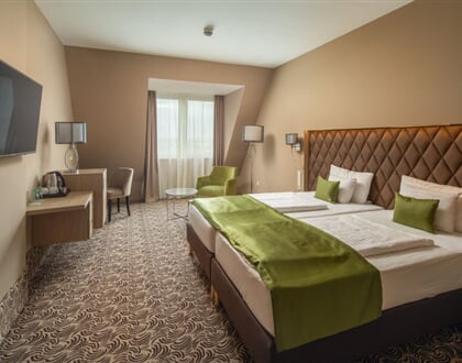 standard double room