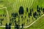Golf course 11