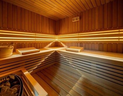 ch Nikola22 vidice sauna