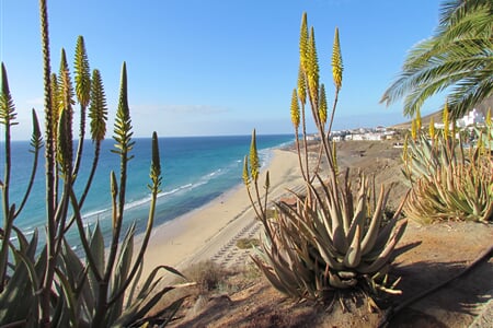 španělsko - Fuerteventura -1