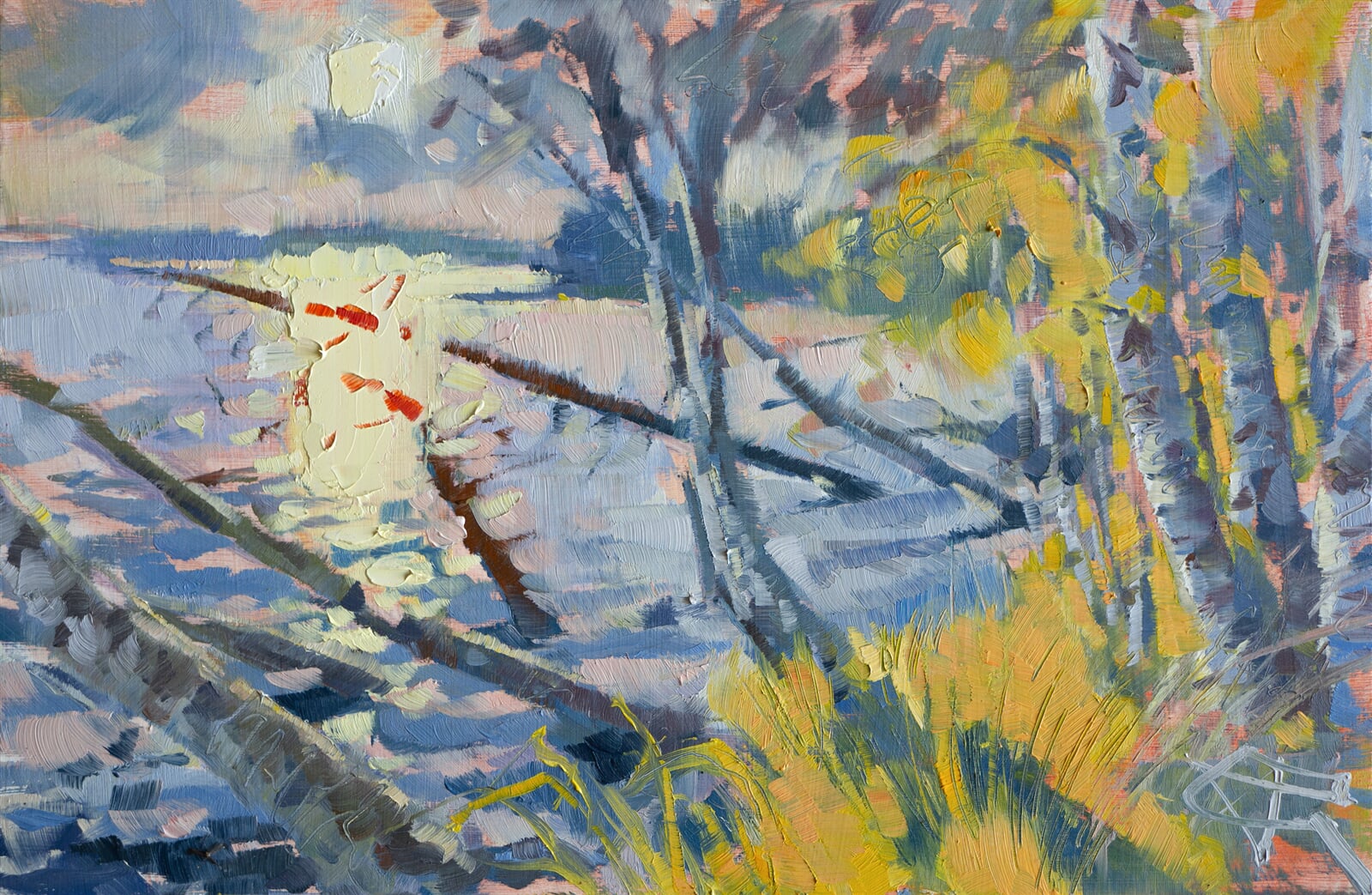 Adéla Topolová: Na dosah vodnímu slunci, 19 × 29 cm