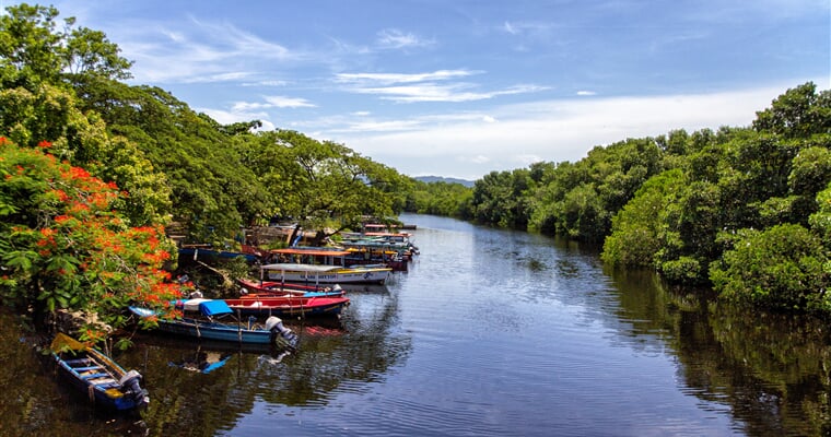 Jamajka jamaica 