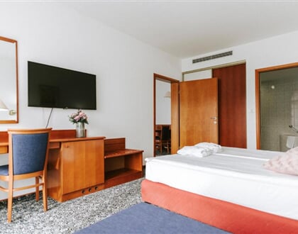 Hotel Toplice (8)