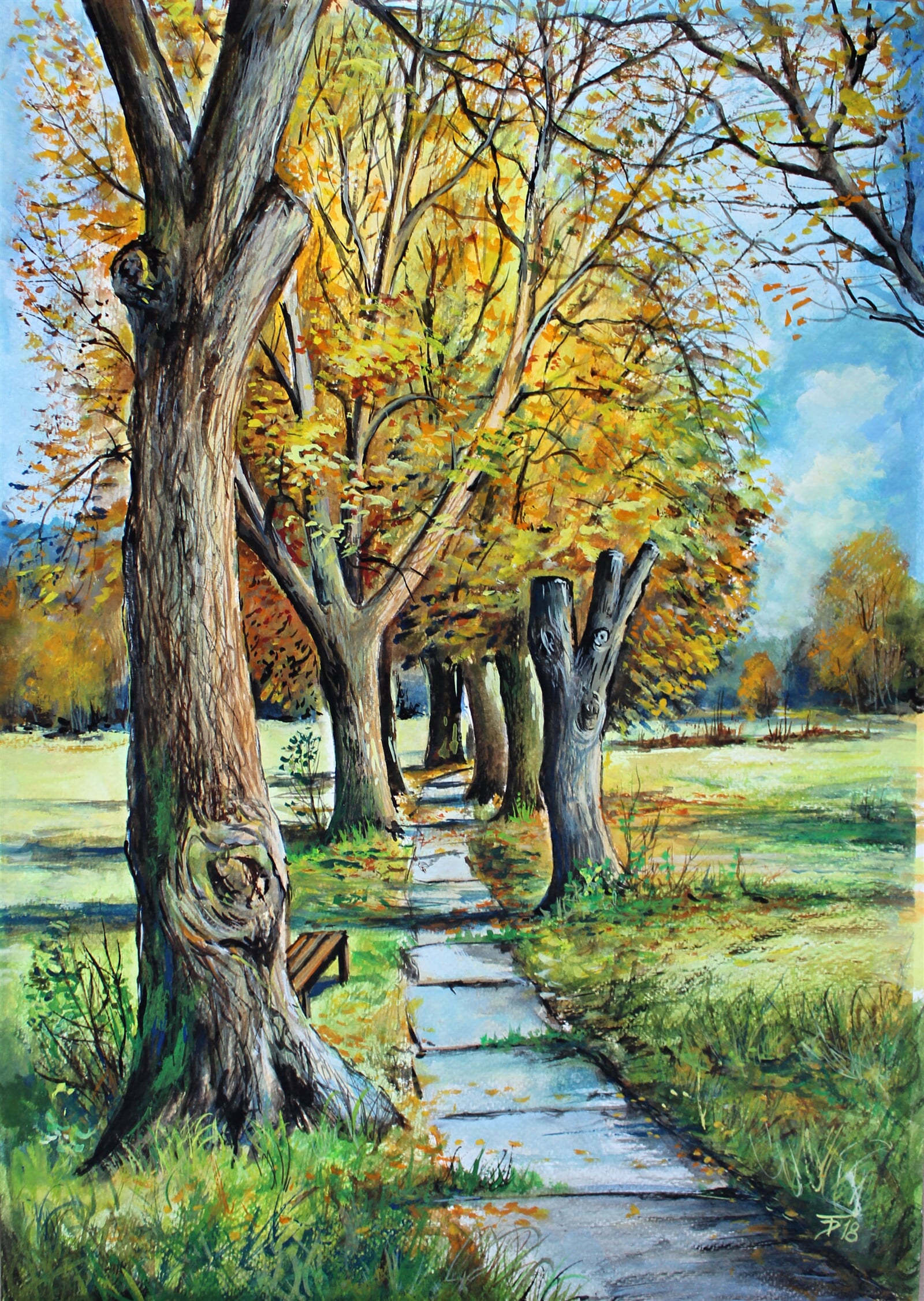 Tomáš Diblík: Vysoké Mýto - chodníček na Vinice, 50 × 35 cm
