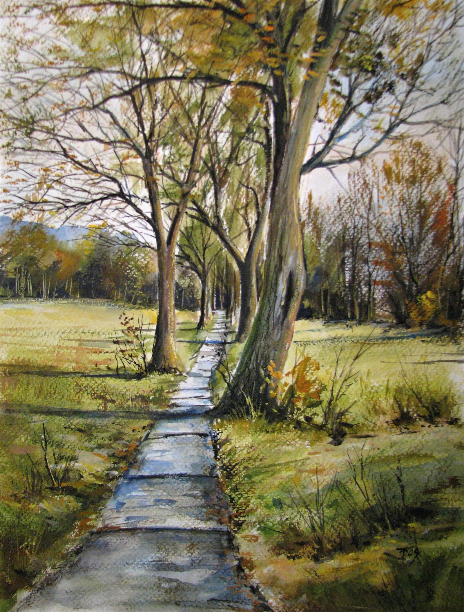 Tomáš Diblík: Vysoké Mýto  chodníček na Vinice, 32 × 24 cm