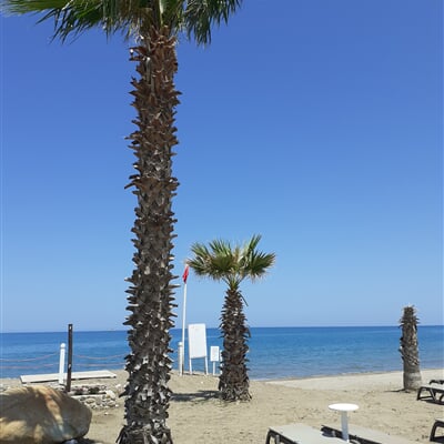 CampofelicediRoccella (1)