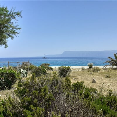 Messina (1)