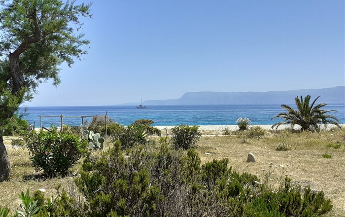 Messina (1)