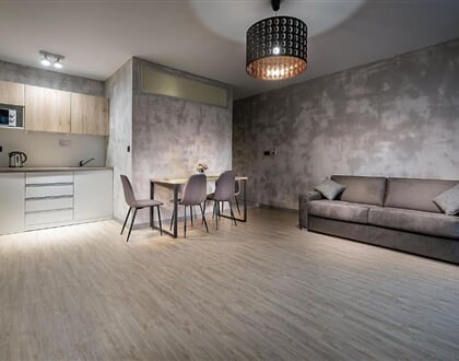 Moravica penzion a apartmany (23)