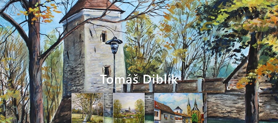 Obrazy Tomáše Diblíka