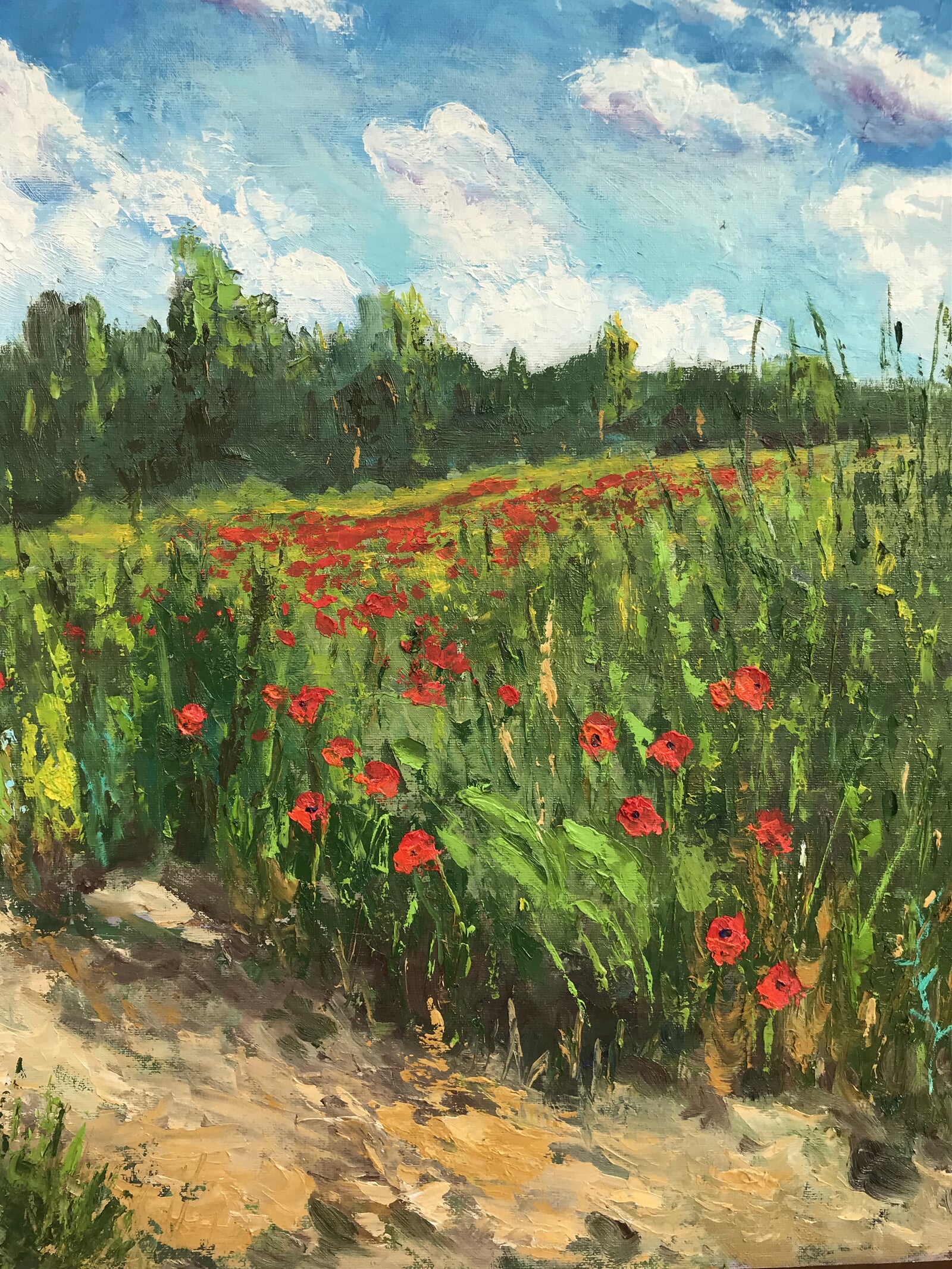 Radoslav Kočár: Vlčí máky, 50 × 40 cm