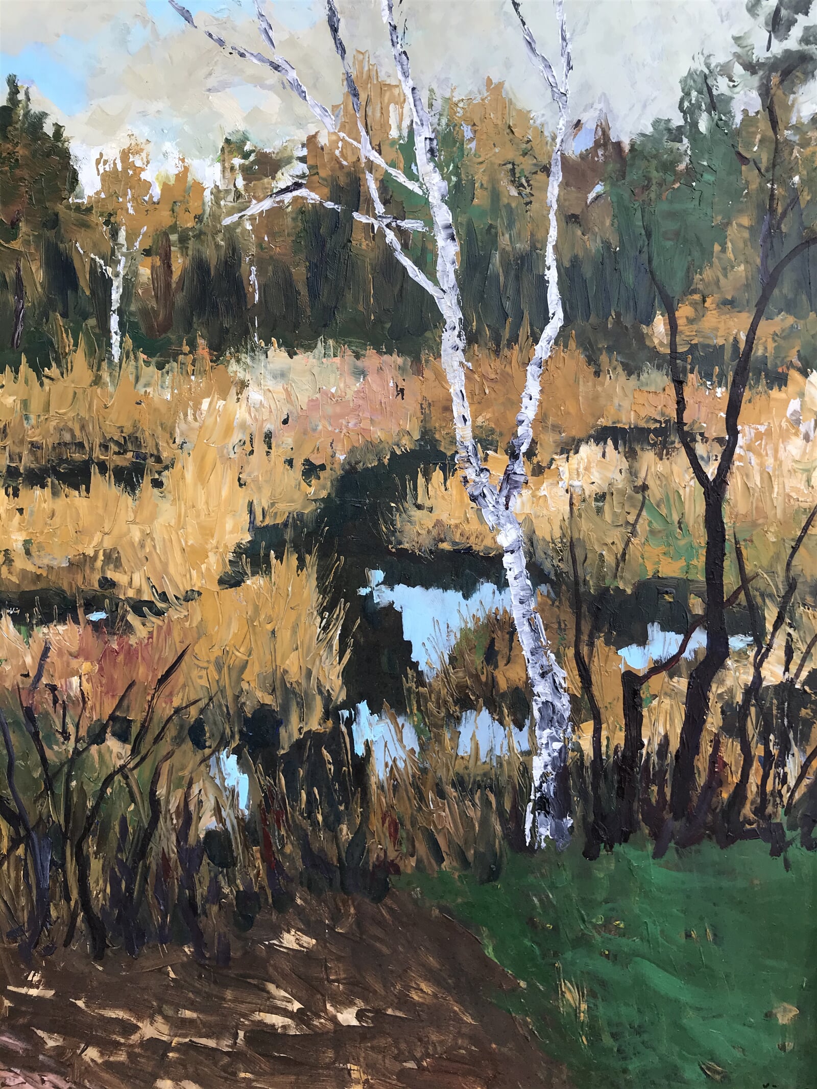Radoslav Kočár: Slatina, 60 × 45 cm