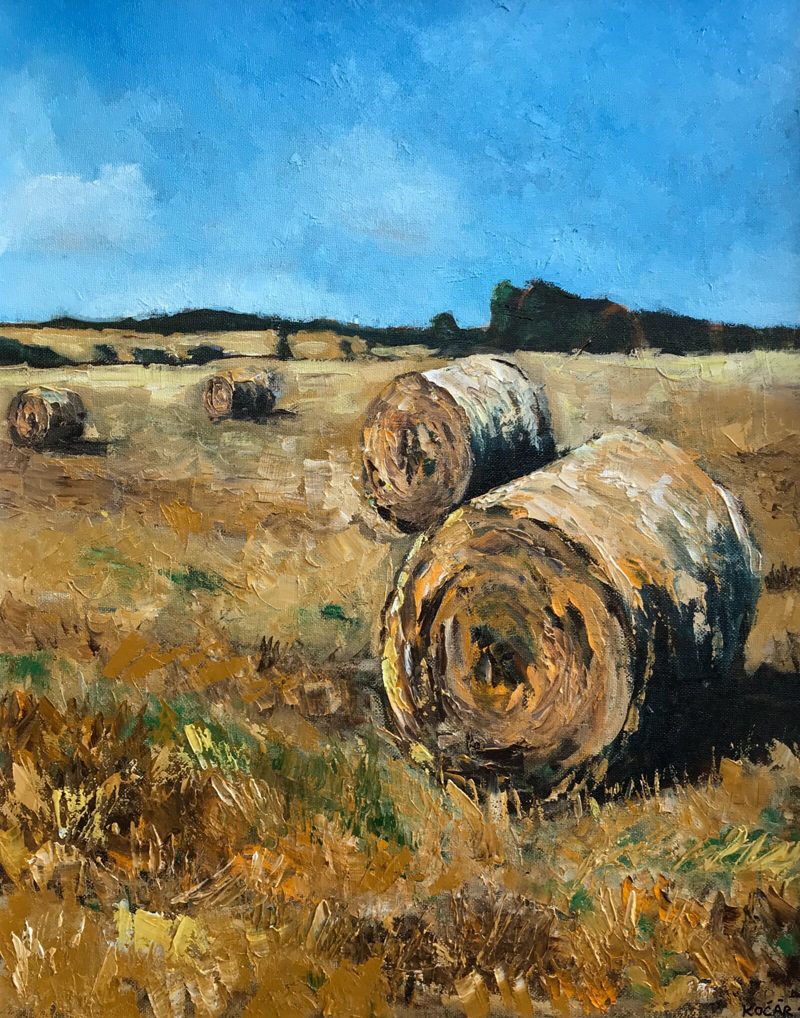 Radoslav Kočár: Sláma, 50 × 40 cm