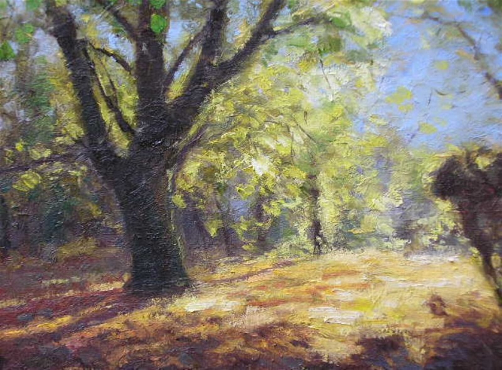 Petr Mirčev: Třešť, 30 × 40 cm