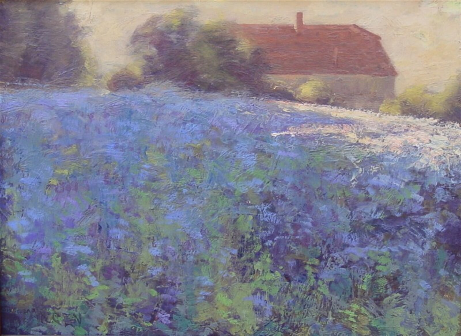 Petr Mirčev: Rosička